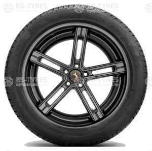 Continental ContiWinterContact TS830P SSR RunFlat 225/50 R18 99V