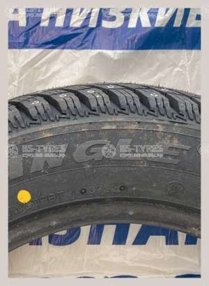 Triangle IcelynX TI501 215/50 R17 95T